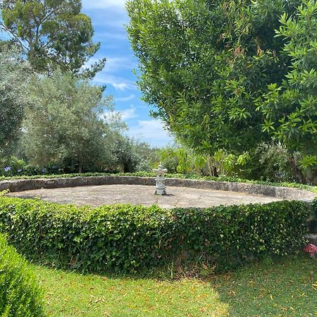 Casa Da Eira - Villas De Campo Ferreira do Zezere Ngoại thất bức ảnh